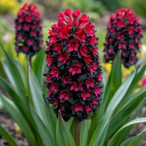 Гиацинт Джем Стоун купить по цене от 2099р. в интернет-магазине «Посадика» с доставкой почтой в в Орске и по всей России – [изображение №1].