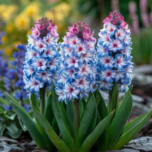 Гиацинт Пинк Мари купить по цене от 2099р. в интернет-магазине «Посадика» с доставкой почтой в в Орске и по всей России – [изображение №1].