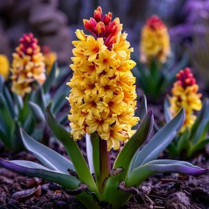 Гиацинт Миднайт Мистери купить по цене от 2099р. в интернет-магазине «Посадика» с доставкой почтой в в Орске и по всей России – [изображение №1].