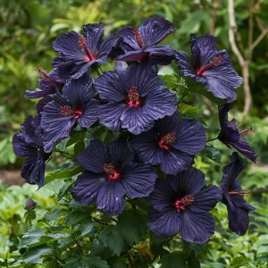 Гибискус Мэджик Момент купить по цене от 699р. в интернет-магазине «Посадика» с доставкой почтой в в Орске и по всей России – [изображение №1].